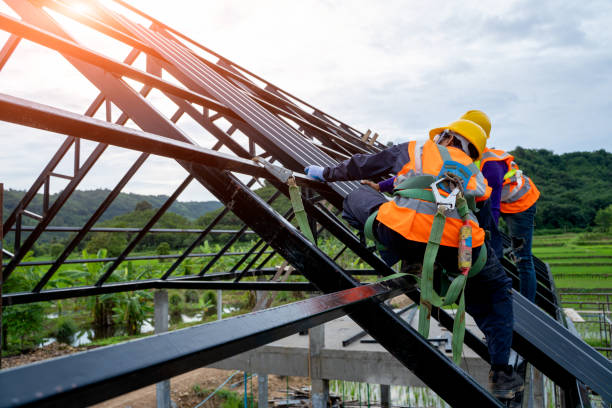 Best Flat Roof Repair Services  in Okeechobee, FL
