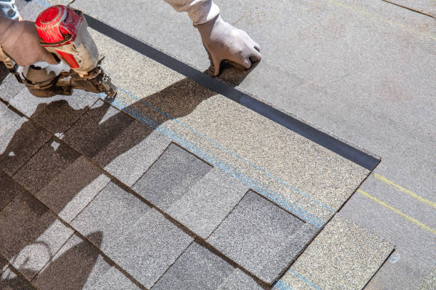 Best Shingle Roofing Installation  in Okeechobee, FL